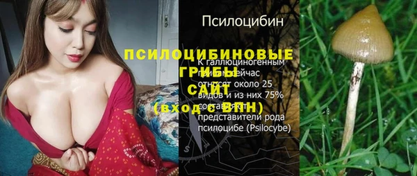МДПВ Заводоуковск