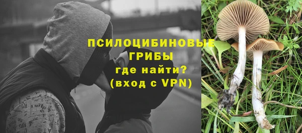 МДПВ Заводоуковск