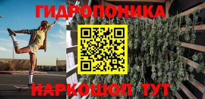 СК Тула