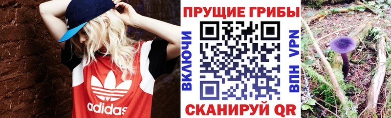 что такое   Ялуторовск  Галлюциногенные грибы ЛСД 