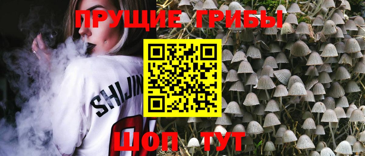 Галлюциногенные грибы Magic Shrooms Ялуторовск