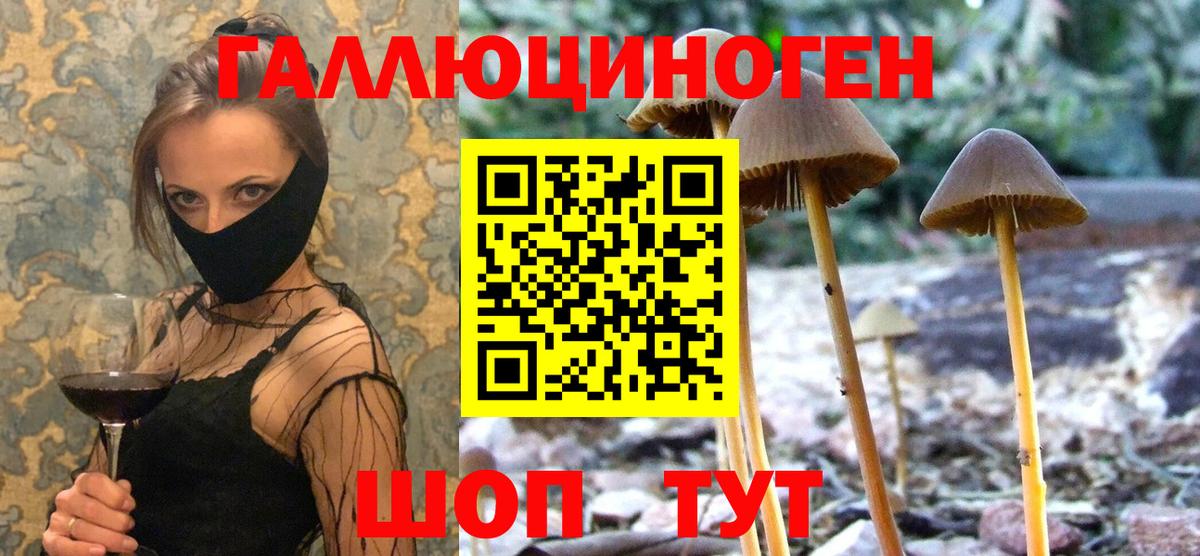 Ялуторовск  Галлюциногенные грибы Psilocybine cubensis  Вход с VPN 